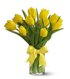 Yellow Tulip with Vase