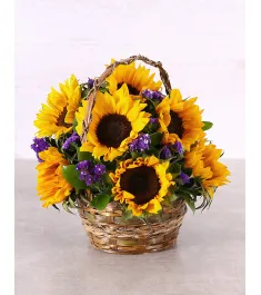 sunflowers with seasonal flowers basket