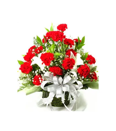 20 Premium Carnations and 2 White long lilies