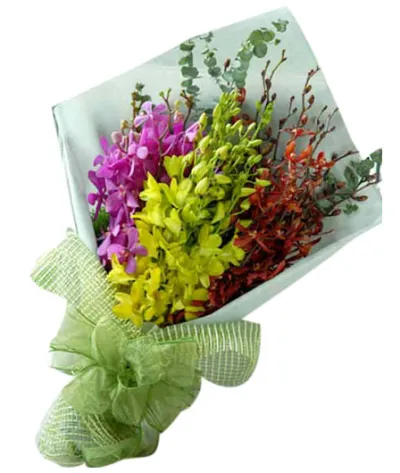 12 Mixed Color Orchids in a Bouquet