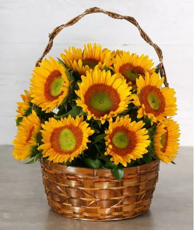 12 sunflowers tin basket to philippines