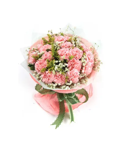 17 Pink Carnations with Baby's Breath