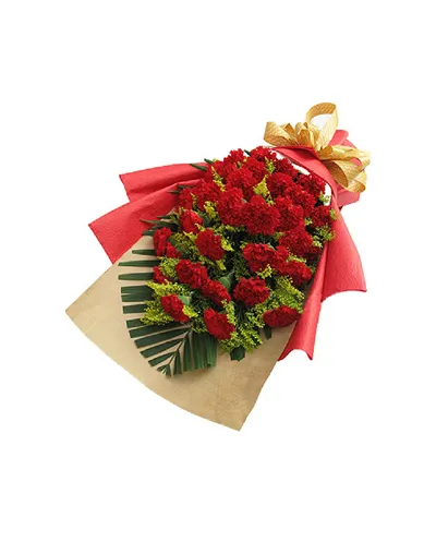 21 Red Carnations