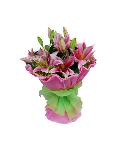 6 Pink Perfume lilies