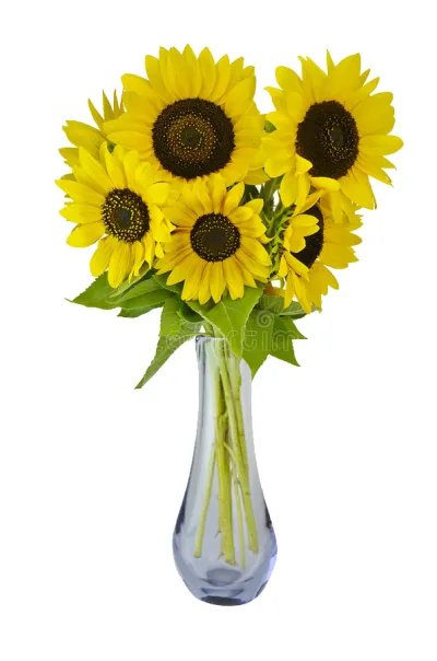 ​6 Pieces Sunflowers in Vase